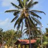 Cuba 2010 19